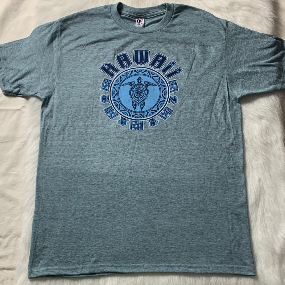 Hawaii Graphic Tee in Light Blue
